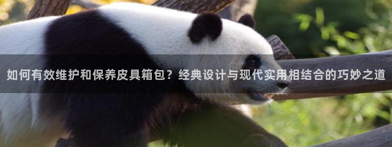 富邦娱乐项目