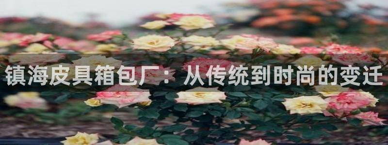 富邦电子娱乐