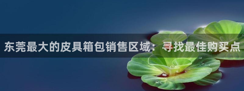 上海邦富娱乐