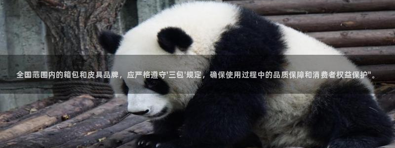 富邦娱乐老品牌