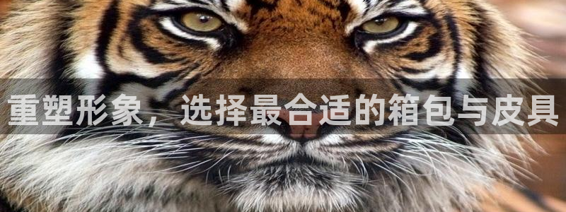 富邦酒店有娱乐场所