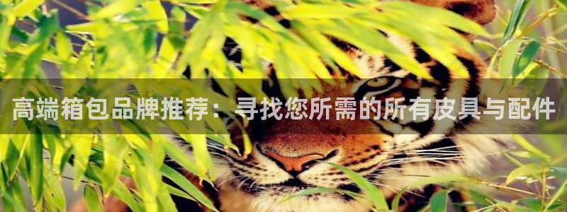 富邦商务娱乐会所地址