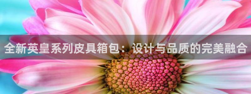 www.富邦娱乐场所