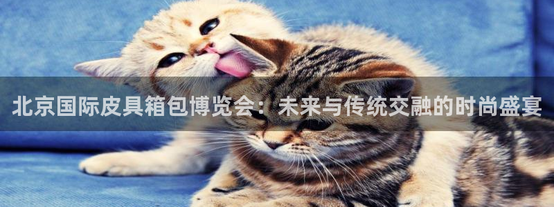 富邦娱乐app那里下载