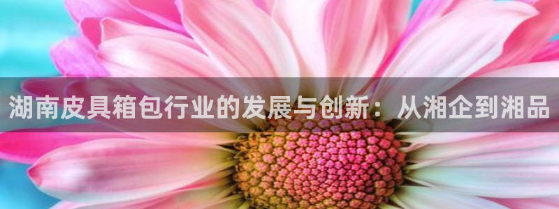 富邦娱乐网站多少