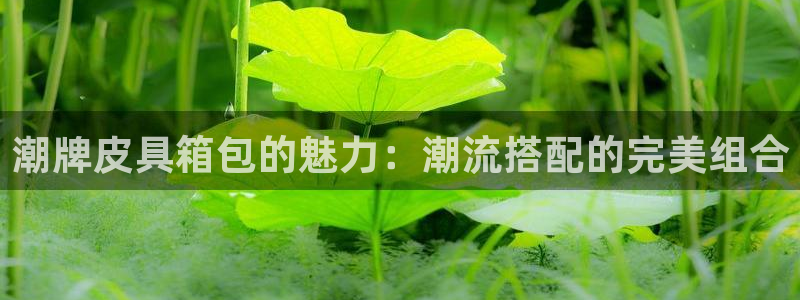 富邦娱乐团购怎么样