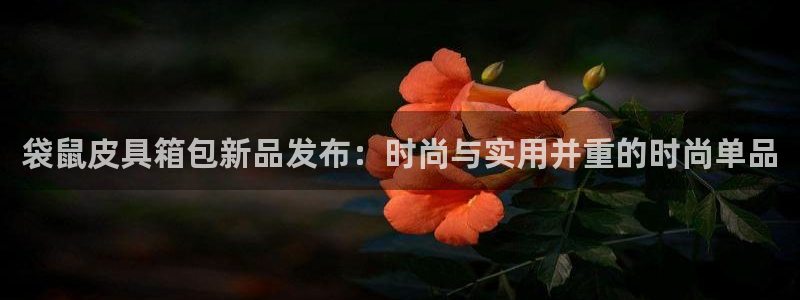 邦富娱乐国际