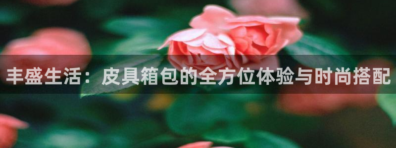 富邦娱乐团购活动