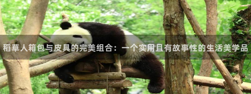 富邦翡翠娱乐怎么样