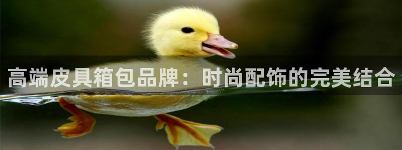 富邦电子娱乐