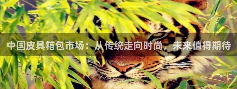 富邦娱乐网站