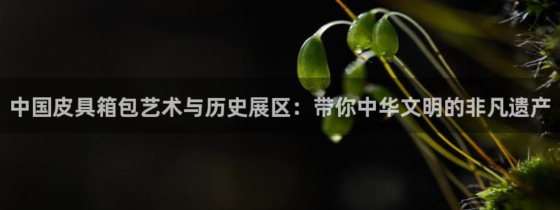 屏山富邦娱乐会所