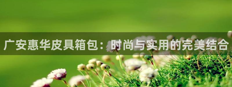富邦娱乐赌场