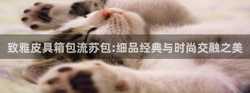 富邦广场娱乐会所电话