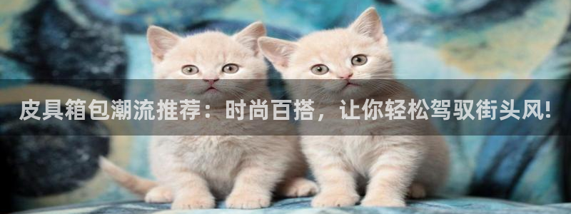 富邦娱乐