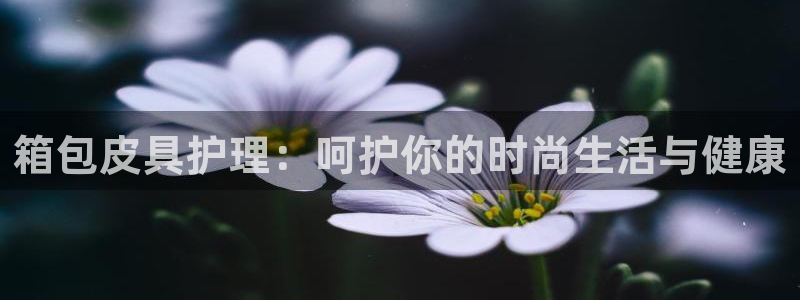 富邦娱乐靠谱不