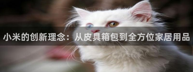 富邦酒店有娱乐场所吗