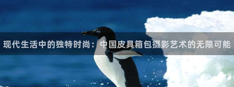 富邦 娱乐 平台