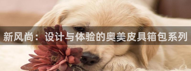 富邦娱乐彩票官网