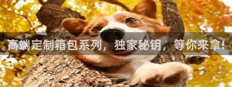 杭州富邦娱乐在营业吗