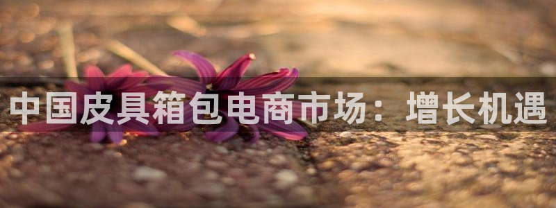 富邦娱乐网址是多少