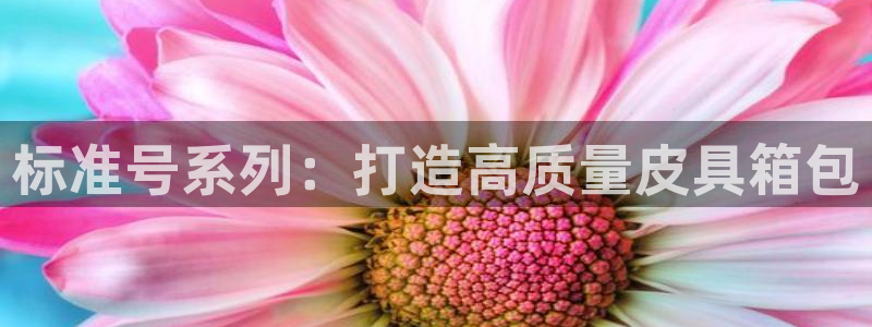 富邦娱乐团购活动时间