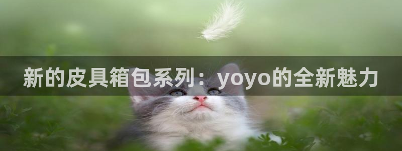 富邦娱乐彩票官网