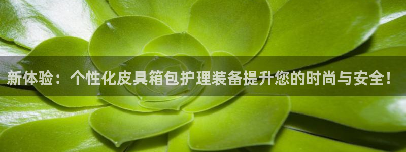 富邦娱乐场