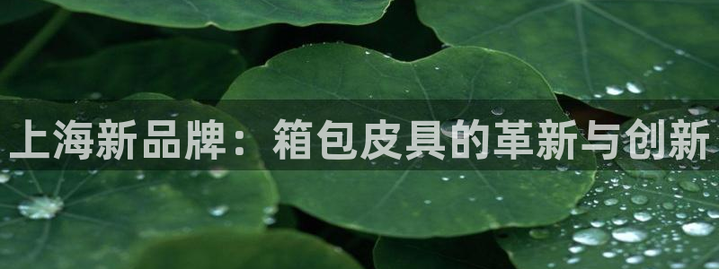 温州富邦娱乐