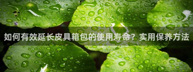 富邦娱乐首页