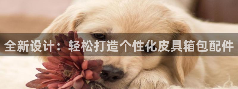 富邦娱乐网址是