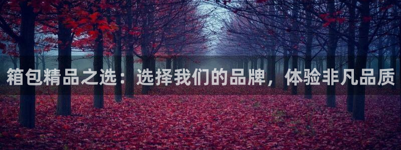 富邦娱乐开户 全礴网