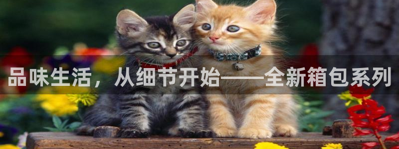 富邦翡翠娱乐怎么样知乎