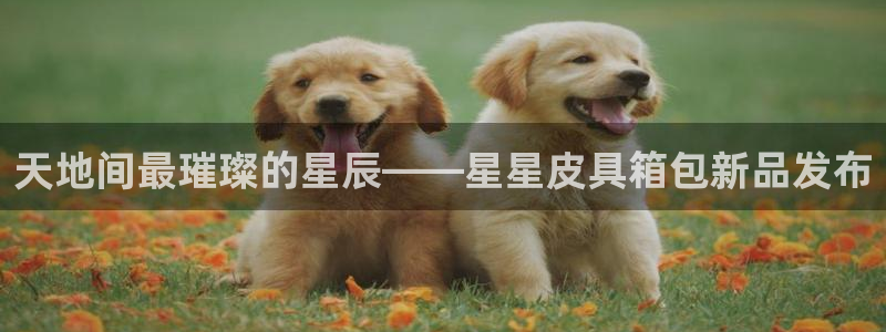 富邦娱乐彩票官网