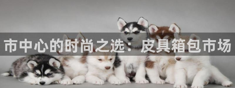 富邦娱乐平台登录入口官网