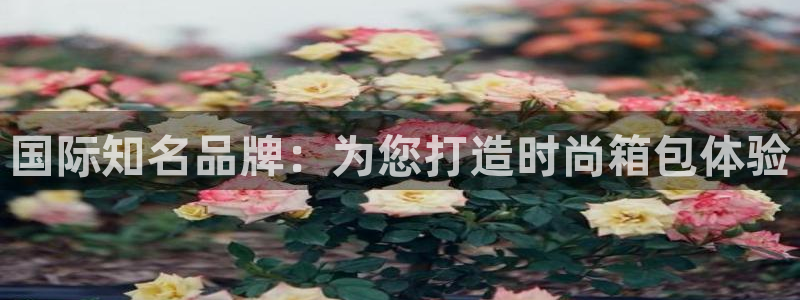 富邦娱乐网址是多少