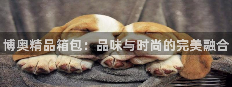 富邦娱乐靠谱不