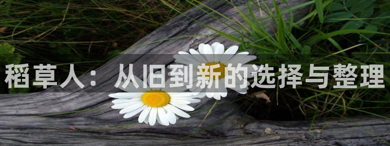 富邦娱乐平台登录网址