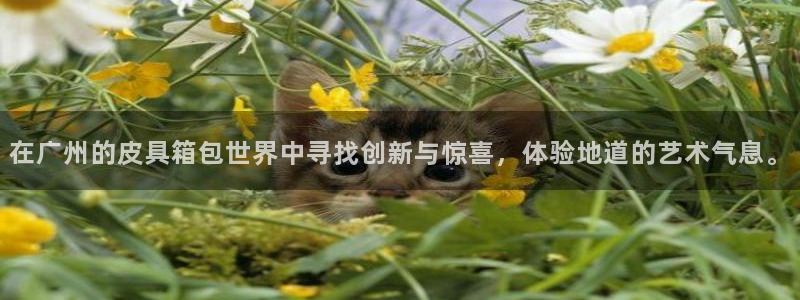 富邦娱乐登入探索无限空间