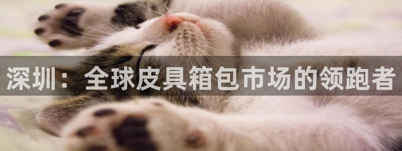 富邦娱乐怎么样