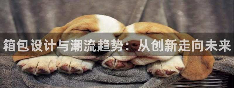 富邦娱乐澳门娱乐