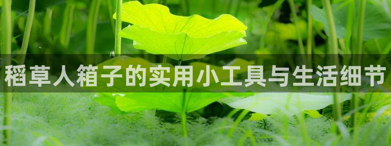 富邦娱乐-真博百楽