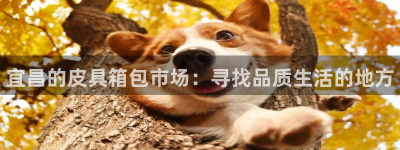 富邦娱乐注册上全狐网