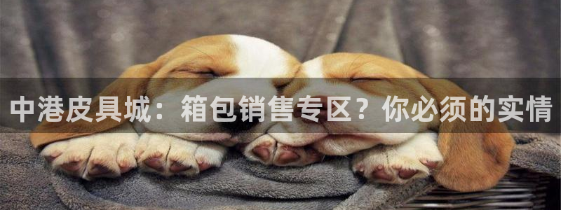 富邦佳丽娱乐厅