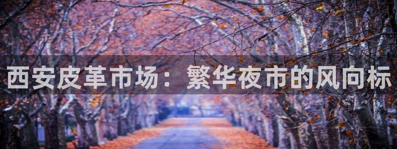 富邦游娱乐团购