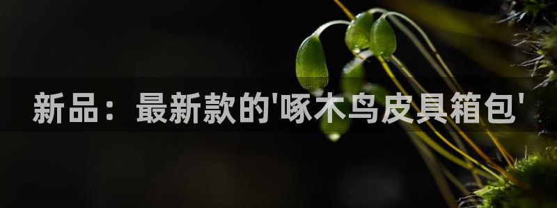 富邦丽佳国际娱乐会所