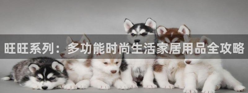 富邦娱乐团购活动