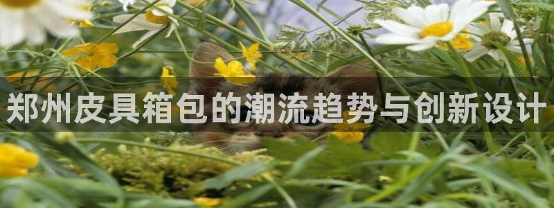 富邦娱乐官网最新网址