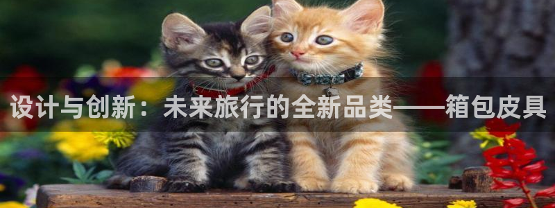 富邦娱乐网址是多少