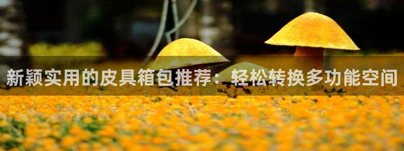 邯郸富邦娱乐地址